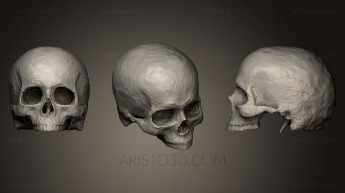 Anatomy of skeletons and skulls (ANTM_0140) 3D model for CNC machine